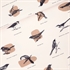 Picture of Ornithology - M - French Terry - Licht Beige